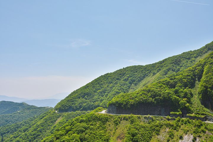 夏に巡りたい東日本／西日本TTスポット10選
