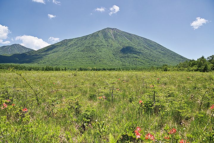 夏に巡りたい東日本／西日本TTスポット10選