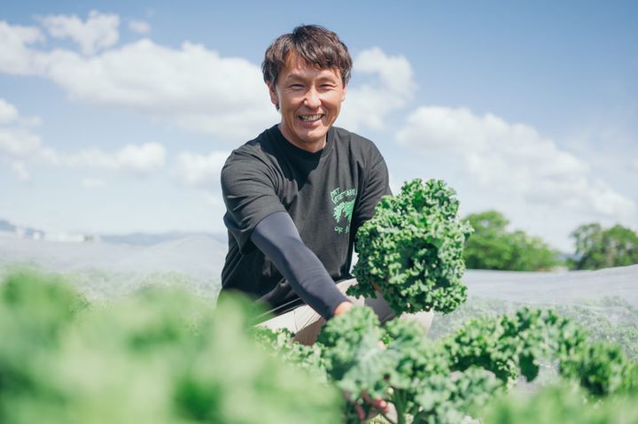 ケールを収穫する冨永さん