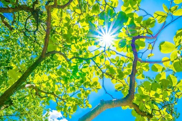 大切な人を亡くしたときに思い出してほしいこと