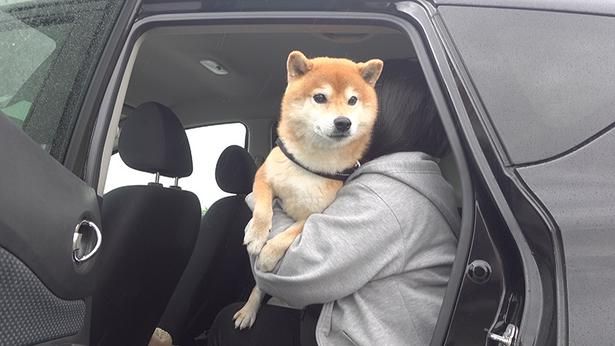 今度は車でお散歩へ！
