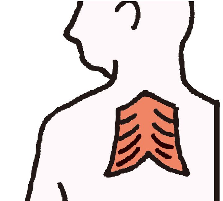 お悩み別に直角肩をつくるトレーニング