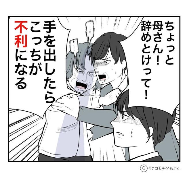 となりの奥さんは略奪妻／キナコモチかあさん