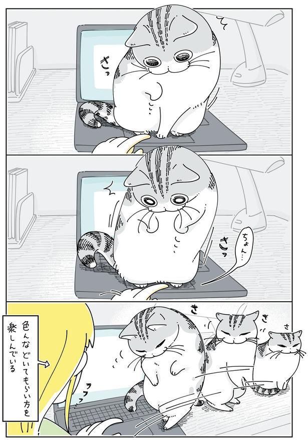 色んなどいてもらい方 （C）キュルZ／KADOKAWA