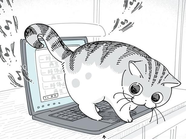 PCの上にいられると… （C）キュルZ／KADOKAWA