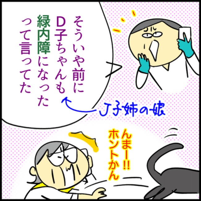 緑内障家系／へそ