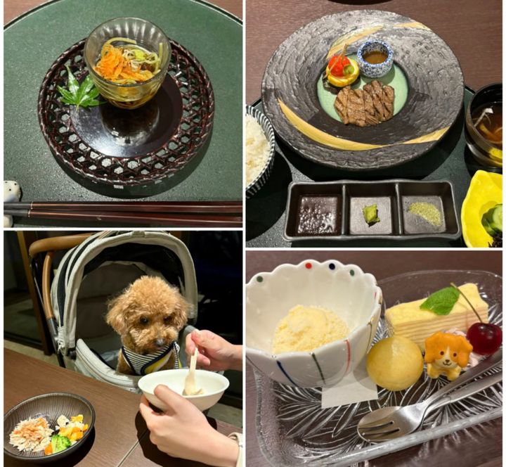 レジーナリゾート鴨川のお食事