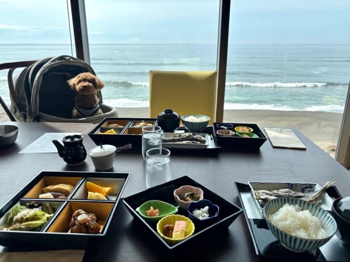 レジーナリゾート鴨川のお食事