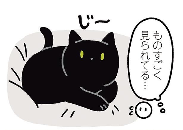 ものすごく見られてる… （C）AKR／KADOKAWA