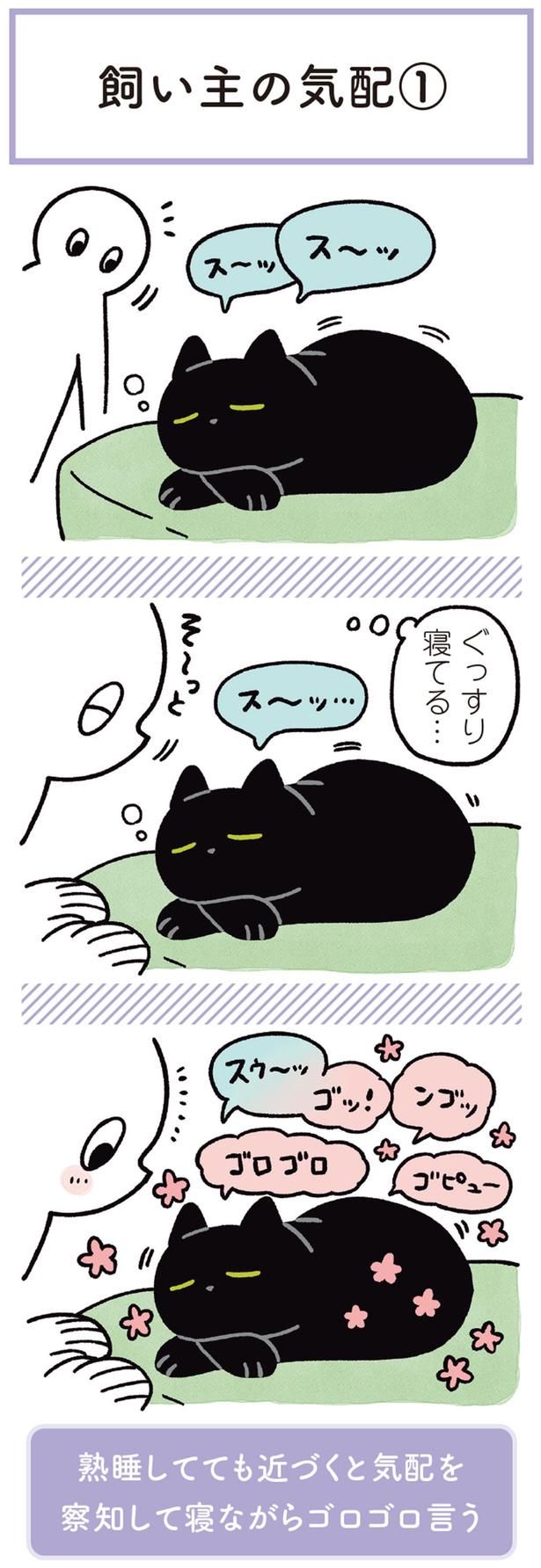 ぐっすり寝てる… （C）AKR／KADOKAWA