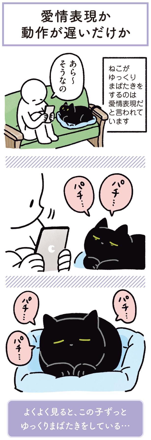 あら～ そうなの （C）AKR／KADOKAWA