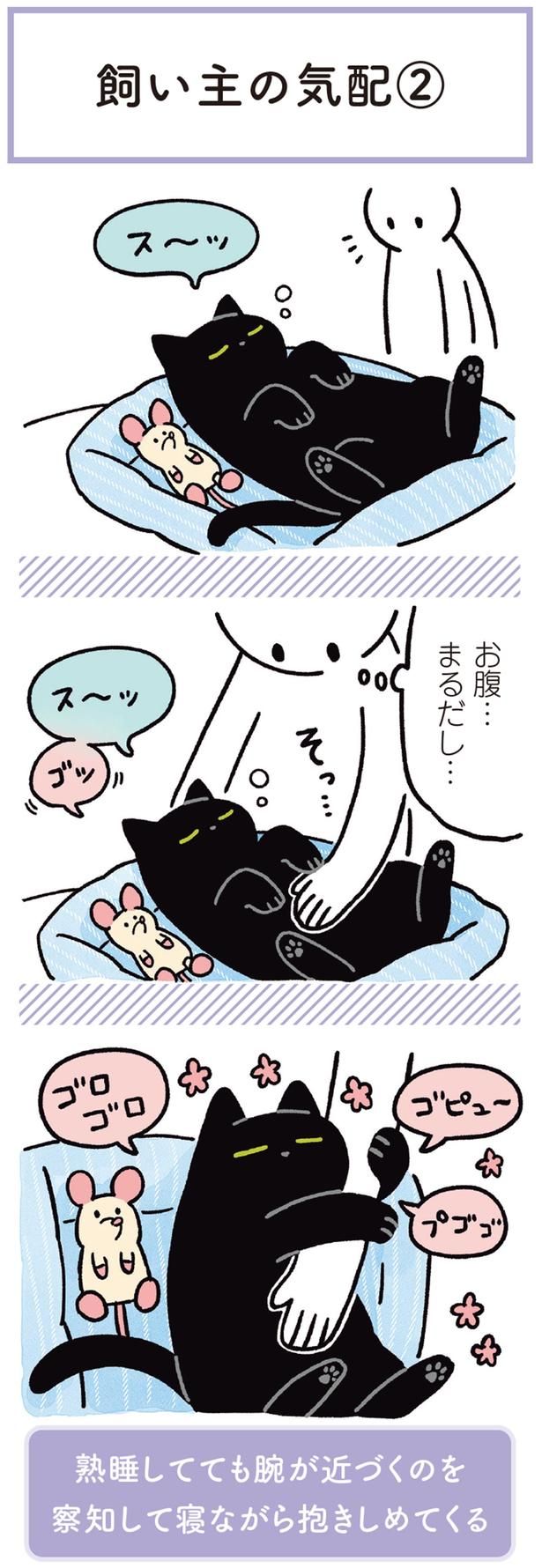 お腹…まるだし… （C）AKR／KADOKAWA
