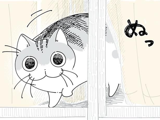 見送りに来てくれた…？ （C）キュルZ／KADOKAWA