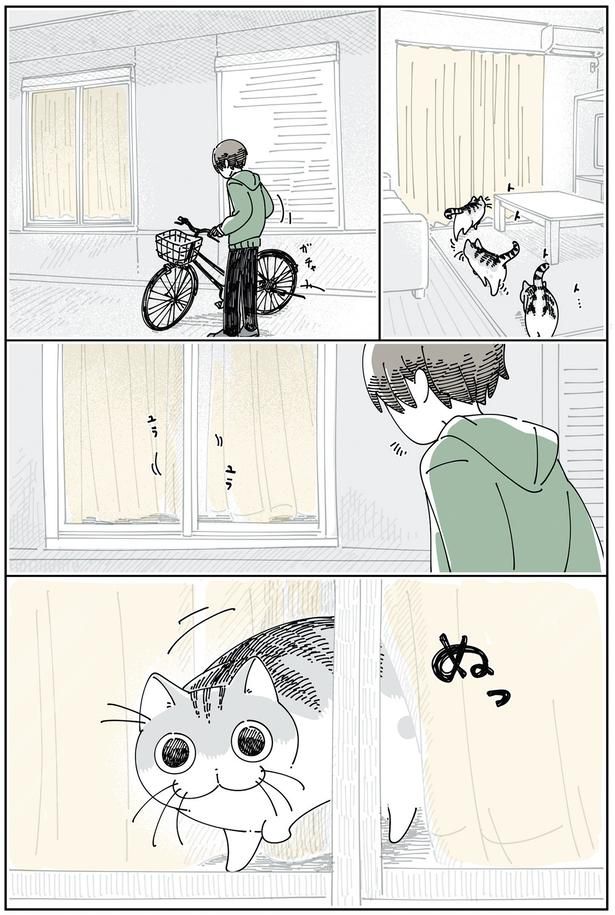 窓の方へと （C）キュルZ／KADOKAWA