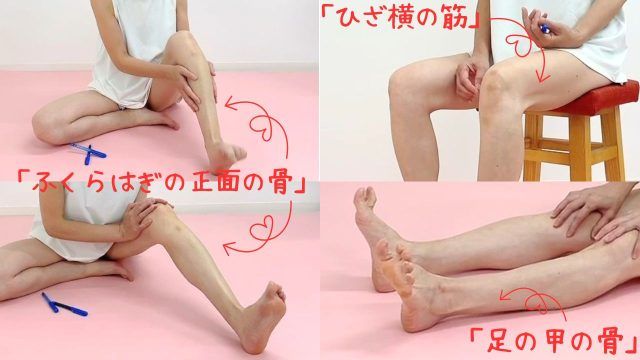 足の骨の確認