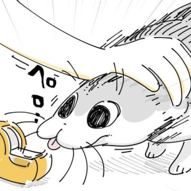 セロテープで遊ぼうとする猫 画像提供：キュルZ@kyuryuZ