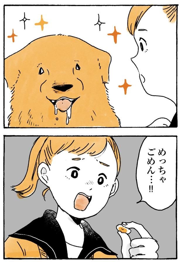 ごめん…！！ （C）佐倉イサミ／KADOKAWA