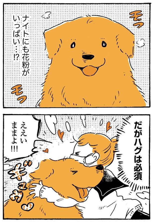 ええいままよ！！！ （C）佐倉イサミ／KADOKAWA