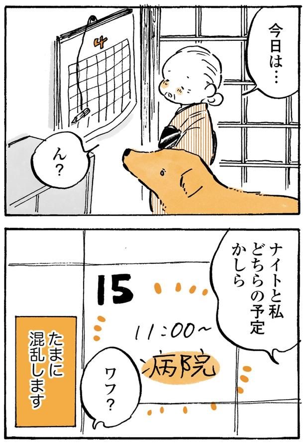 たまに混乱します （C）佐倉イサミ／KADOKAWA