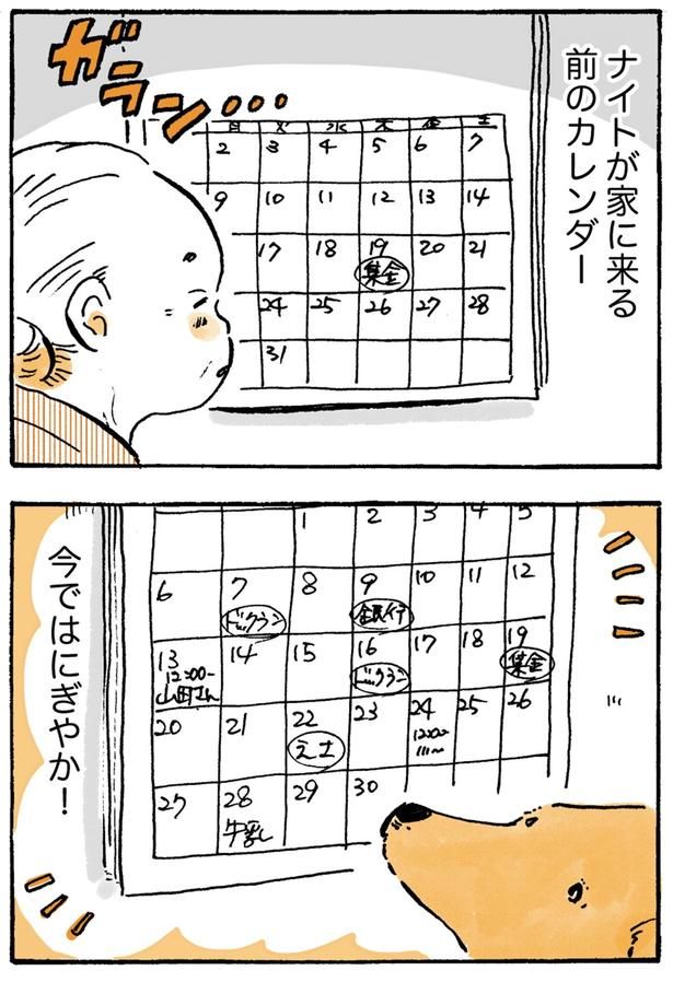 今ではにぎやか！ （C）佐倉イサミ／KADOKAWA