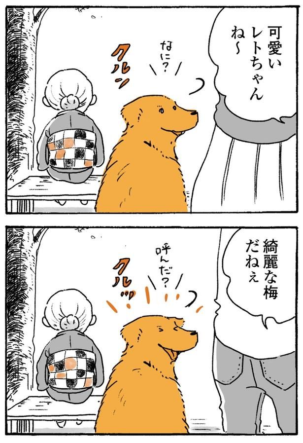 綺麗な梅だねぇ （C）佐倉イサミ／KADOKAWA
