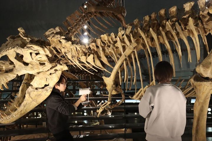 福井県立大学恐竜学部・デジタル古生物学の例