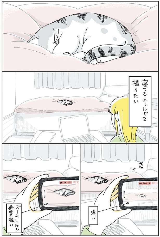 寝ている姿を撮りたい （C）キュルZ／KADOKAWA