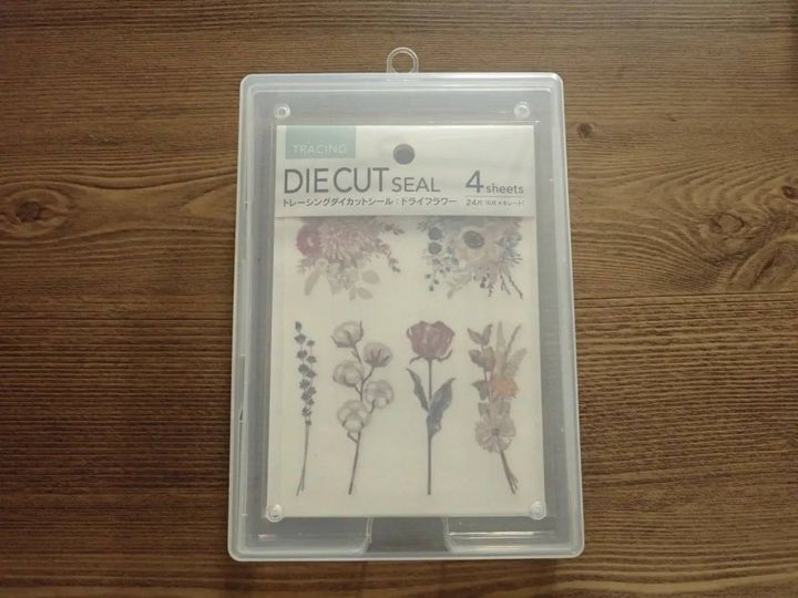DAISO(ダイソー)：シートシール収納ケースS