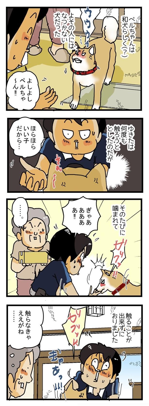 かみつきペルちゃん1 画像提供：(C)ゆきたこーすけ(@kosukeyukita) 