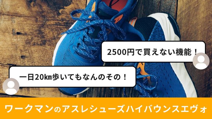 画像出典：ワークマン公式 ※株式会社ワークマンから画像使用の許諾を得ています。