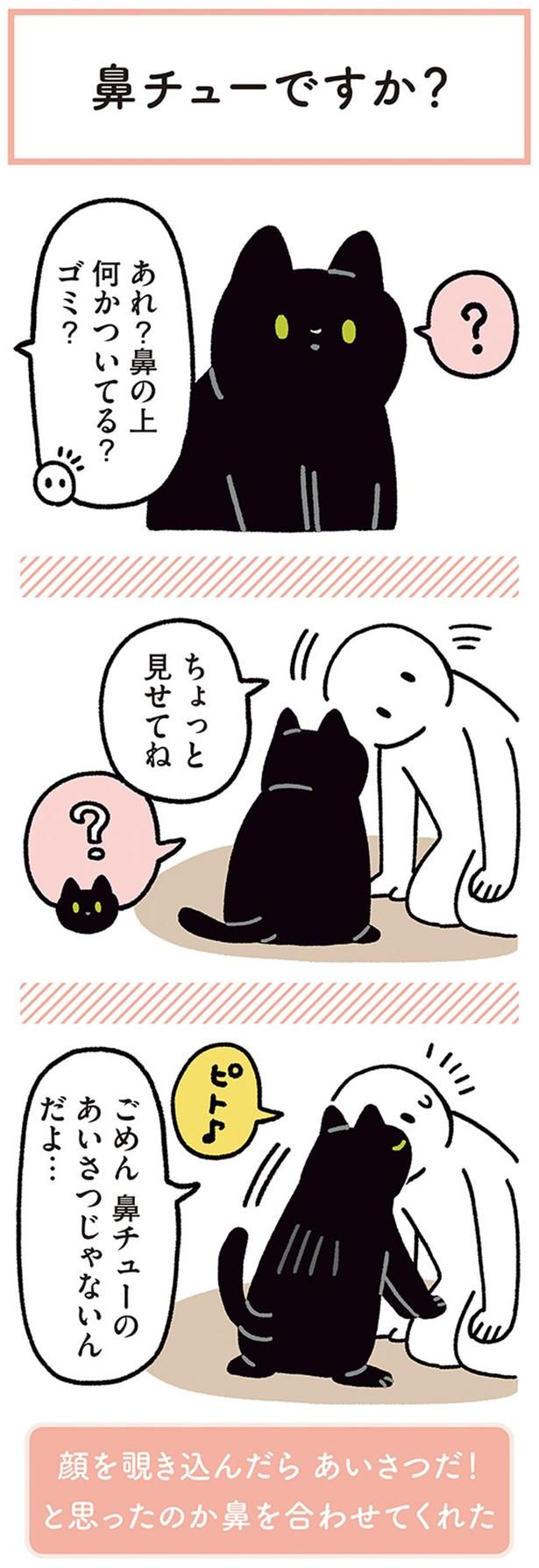 ちょっと見せてね （C）AKR／KADOKAWA