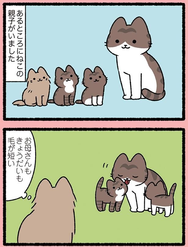 ねこの親子 （C）ぱんだにあ／KADOKAWA