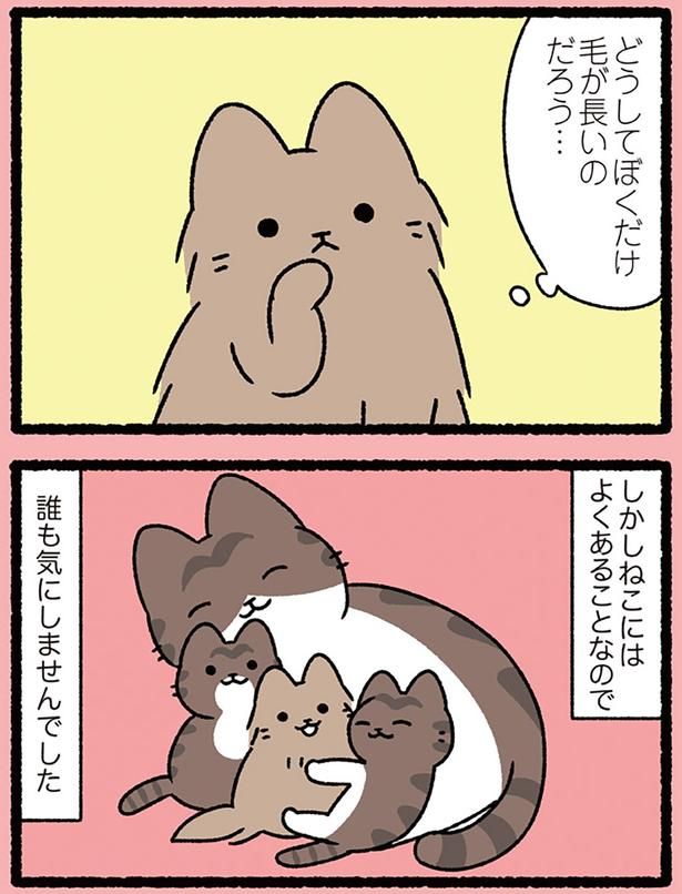 ねこにはよくあることなので （C）ぱんだにあ／KADOKAWA