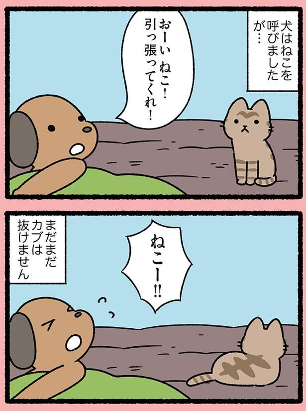 ねこー!! （C）ぱんだにあ／KADOKAWA