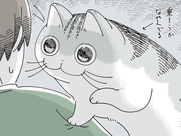 迷っているなぁ （C）キュルZ／KADOKAWA