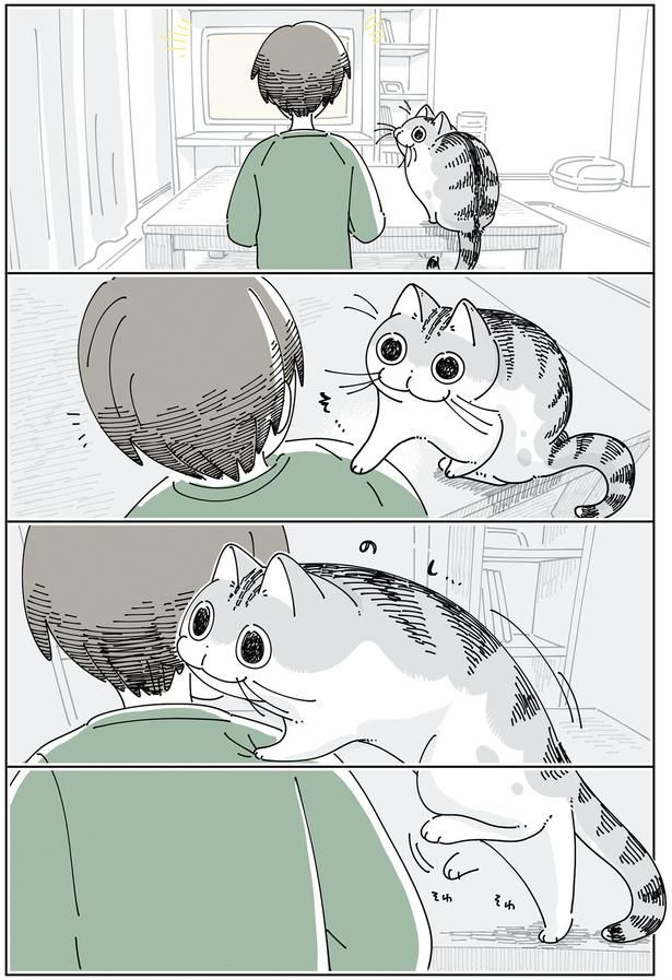 飼い主の肩に （C）キュルZ／KADOKAWA