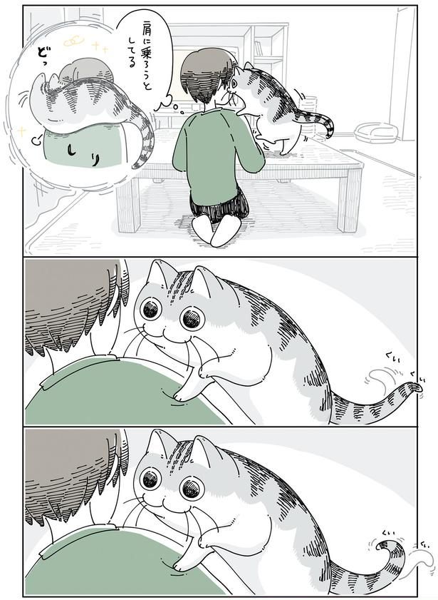 肩に手を置き （C）キュルZ／KADOKAWA