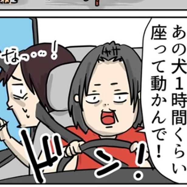 通りがかりに見かけた犬は、散歩中に動かなくなるタイプらしい。 画像提供：しゃけなかほいさん