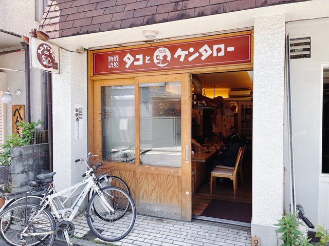  (313505)