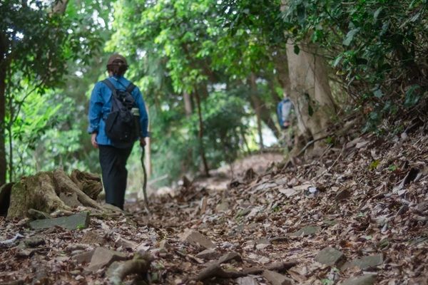 【神奈川県箱根町】箱根の豊かな自然と「禅」的な空間で自分と向き合うホテル「HAKONE CALLING」オープン