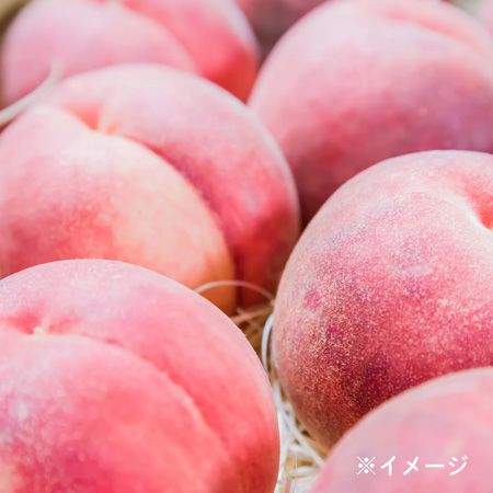 【埼玉県熊谷市】「熊谷青果市場 果匠とびくま」スイーツ朝市に希少桃「夢桃香」のロールケーキが登場