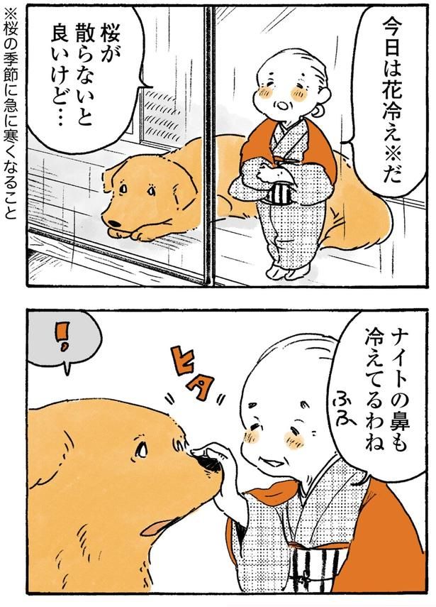 桜が散らないと良いけど… （C）佐倉イサミ／KADOKAWA