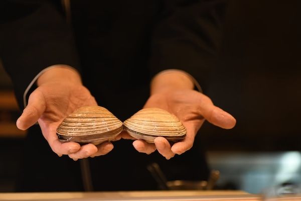 【愛知県名古屋市】PASTAMANIAが名古屋・鶴舞に3号店をOPEN！日間賀島産しらすの限定フェアも同時開催