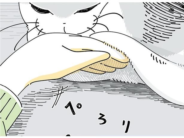 猫のお腹の下を探したくなる （C）キュルZ／KADOKAWA