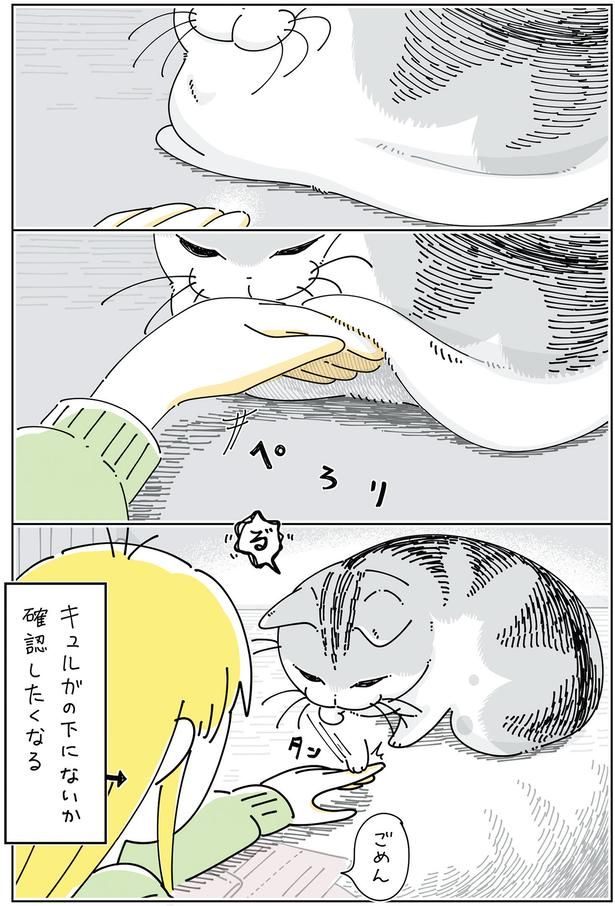お腹の下には （C）キュルZ／KADOKAWA