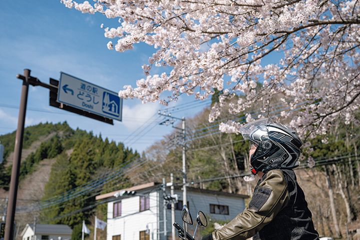 目的地があるから迷わないちょうどいいTTツーリング