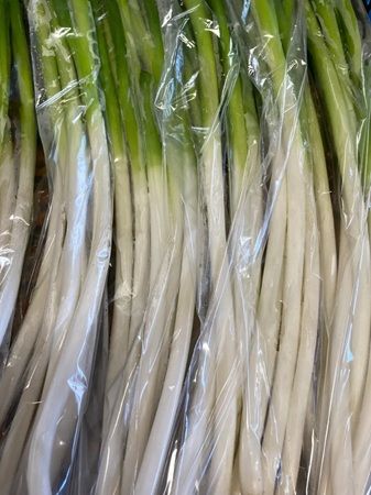 【広島県廿日市市】ボートレース宮島「ばんえい十勝杯」開催！野菜販売やトークショーなどイベントを実施