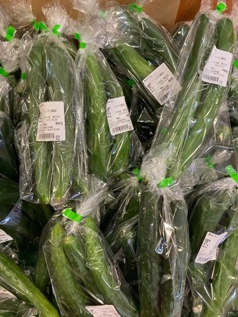 【広島県廿日市市】ボートレース宮島「ばんえい十勝杯」開催！野菜販売やトークショーなどイベントを実施
