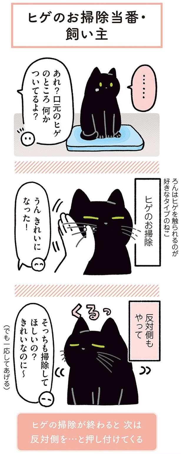 うん きれいになった！ （C）AKR／KADOKAWA