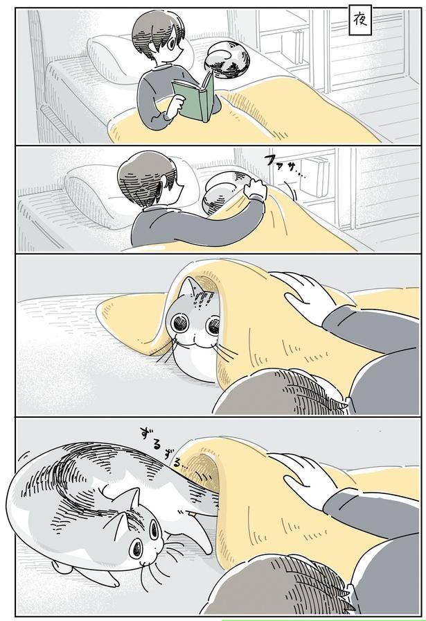 夜、布団をかけてみると （C）キュルZ／KADOKAWA